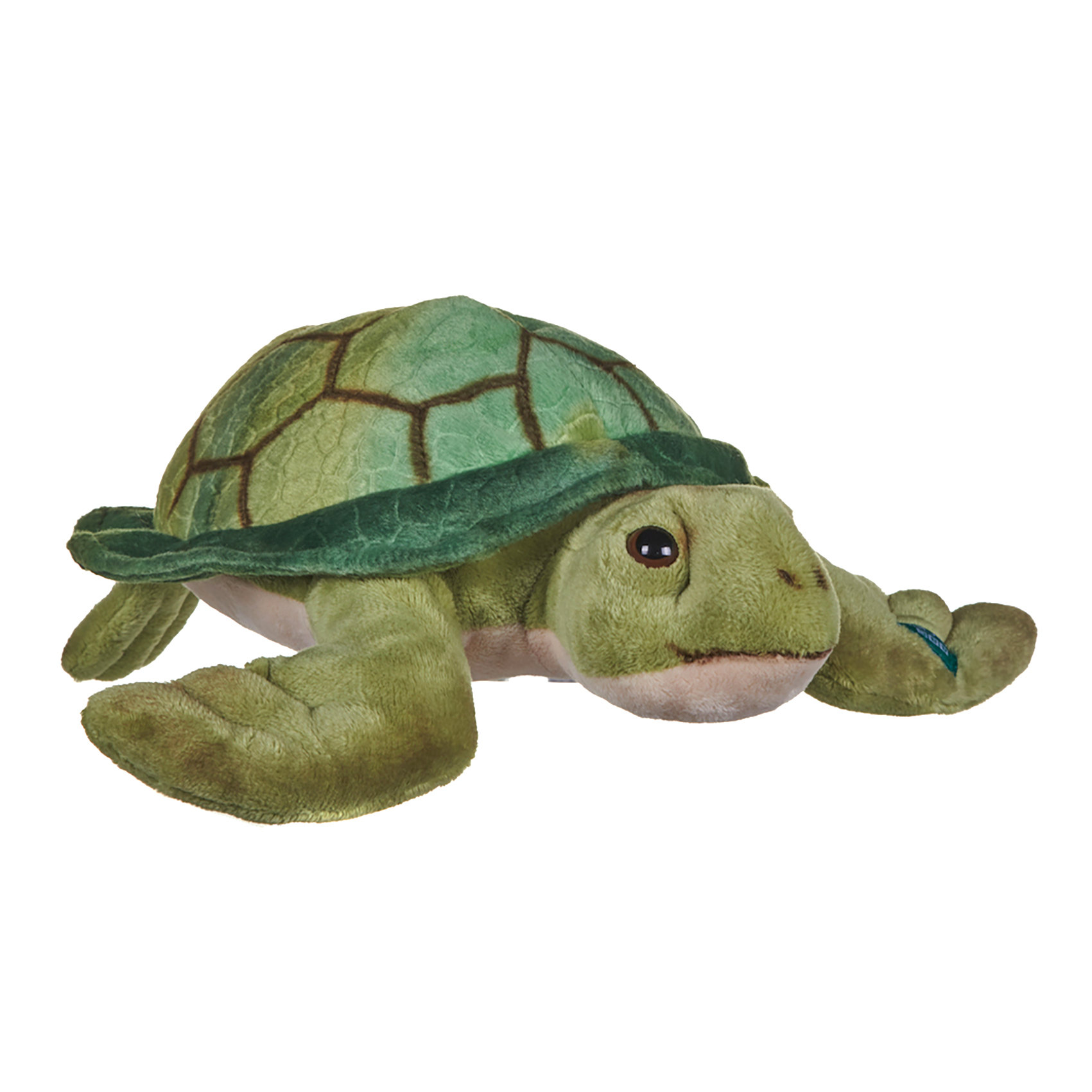 BBC Blue Planet II 25 cm Sea Turtle Soft Toy - Posh Paws - Image 5